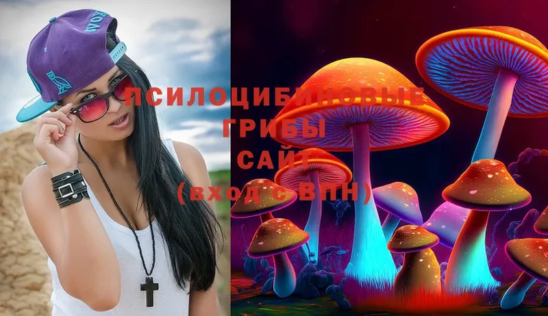 ссылка на мегу вход  купить наркоту  Бор  Псилоцибиновые грибы Magic Shrooms 